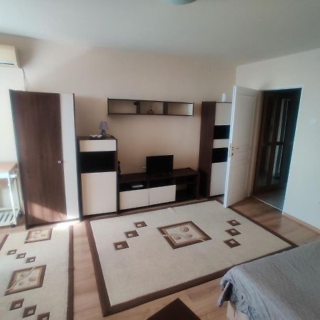 Eric'S Cozy Apartment Timisoara Exterior foto