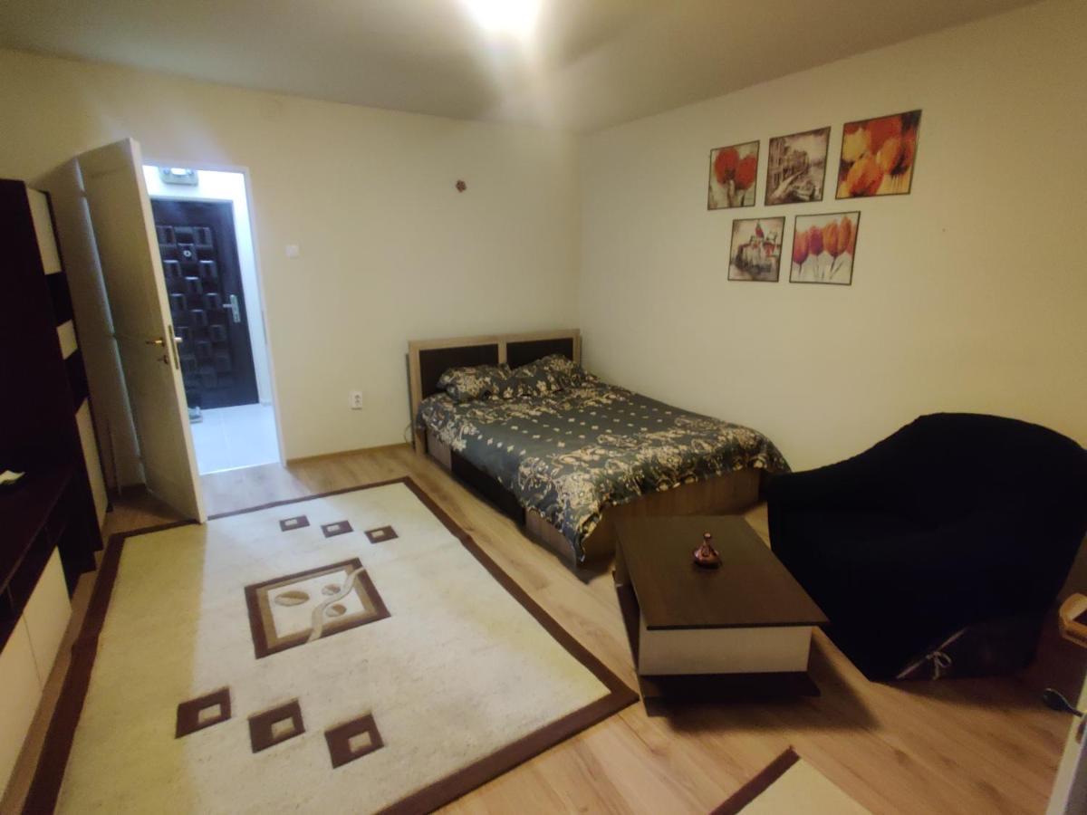 Eric'S Cozy Apartment Timisoara Exterior foto